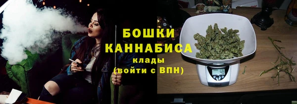 тгк Новозыбков