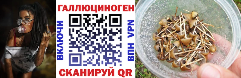 Псилоцибиновые грибы ЛСД  Балахна 